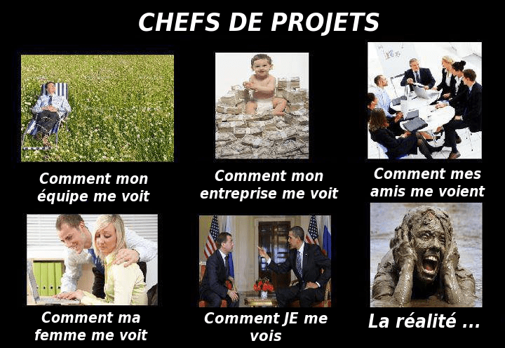 Comment le chef de projet est vu