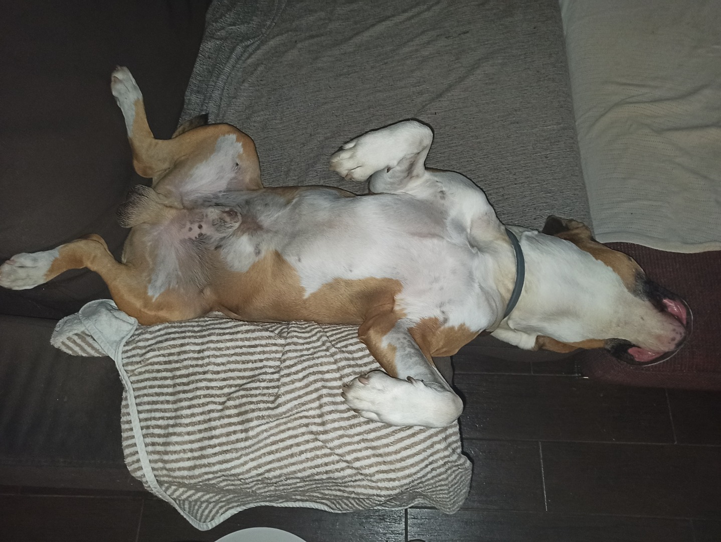 Mocni Max